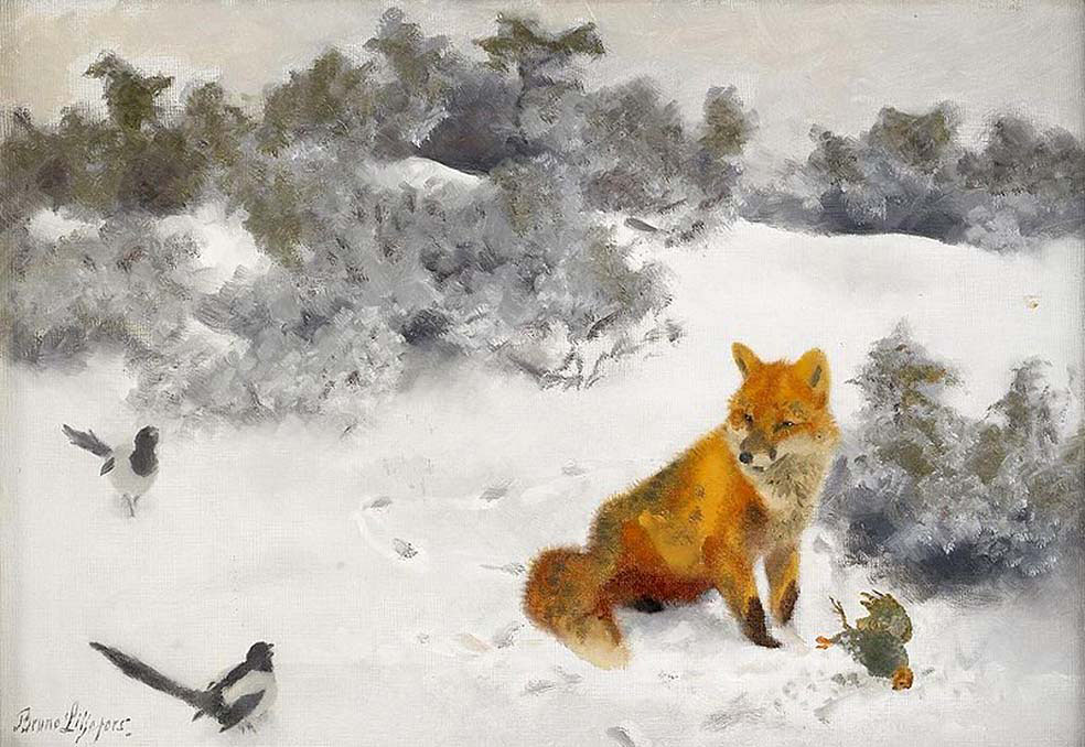 Fox in Winter